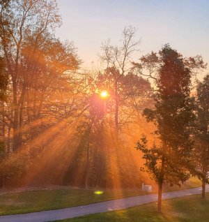 smoke sunshine.jpg