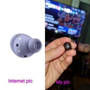37399.jpg