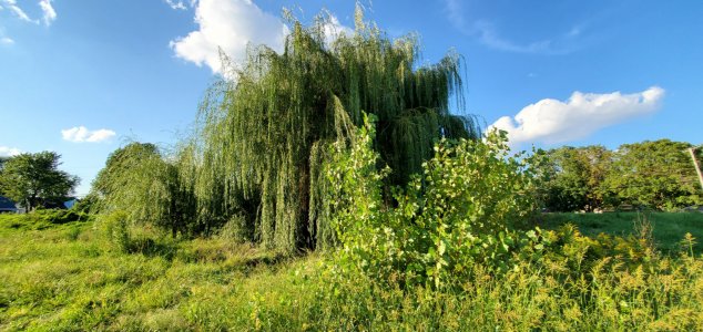 20210830_182559.jpg