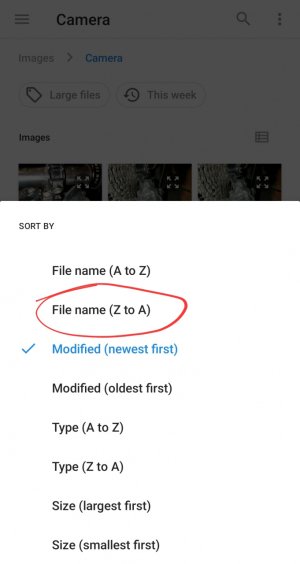 Screenshot_20221101_214259.jpg