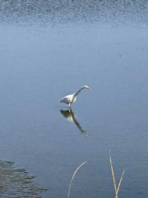 PXL_20221017_214122268.jpg