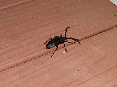 20220719_211954.jpg