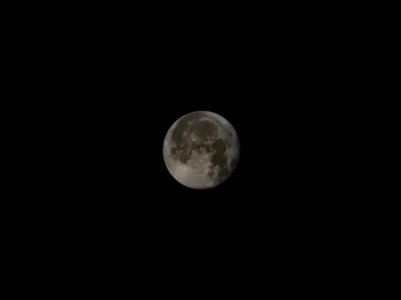 20220615_044806.jpg