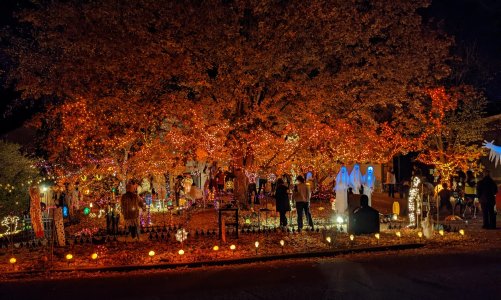 Halloween-House-2022.jpg