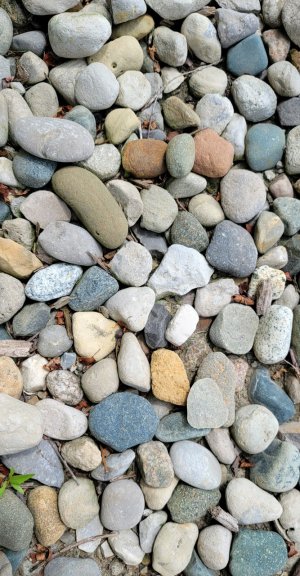 20220720_145753.jpg