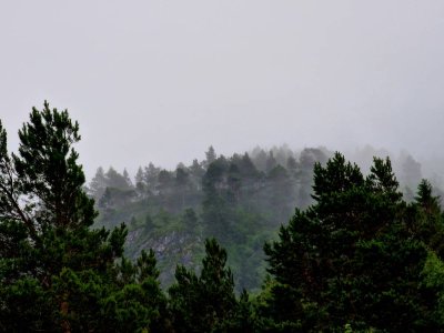 20220720_185614.jpg