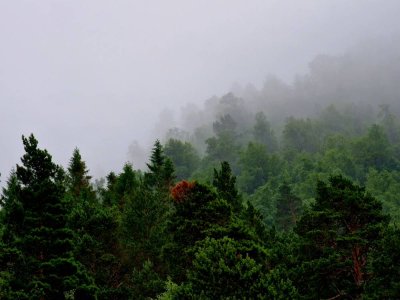 20220720_185556.jpg