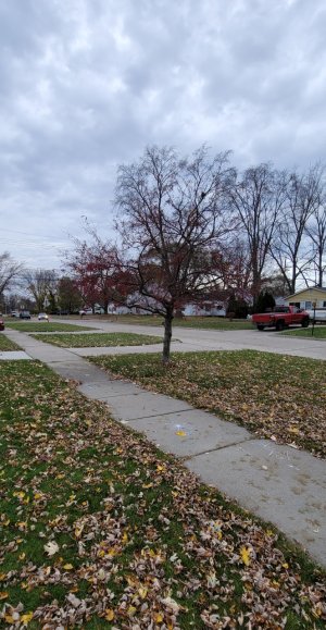20221105_165126.jpg