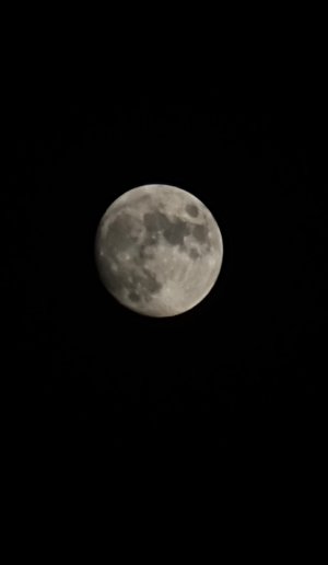20221106_174104.jpg