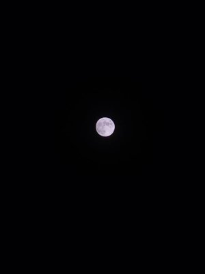 20221107_182509.jpg