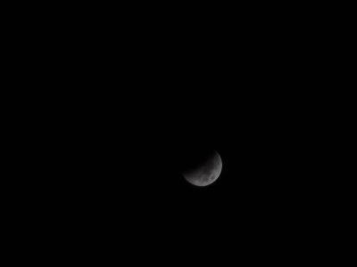 20221108_043647.jpg