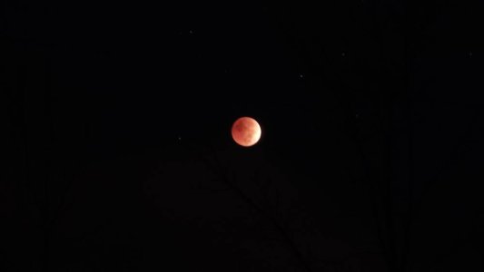 20221108_053216.jpg