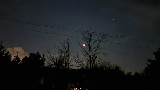 20221108_053855.jpg