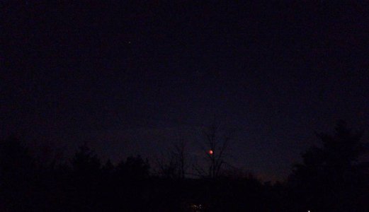 20221108_054713.jpg