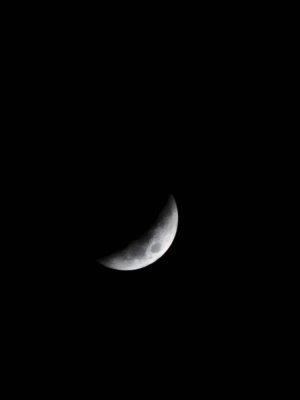 20221108_035222.jpg