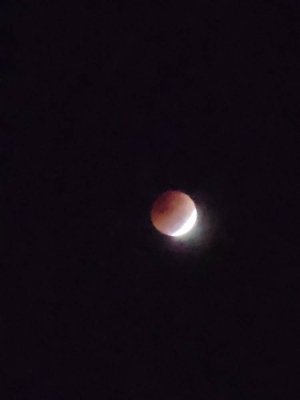 20221108_040659.jpg