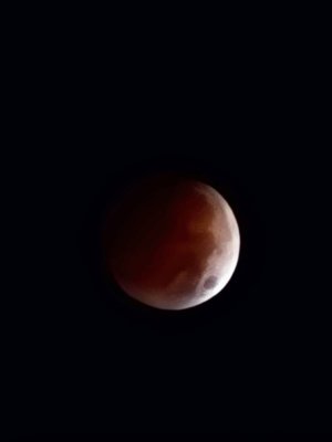 20221108_041621.jpg
