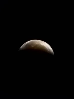 20221108_060241.jpg