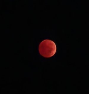 20221108_055350.jpg