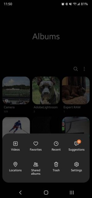 Screenshot_20220723-115050_Gallery.jpg