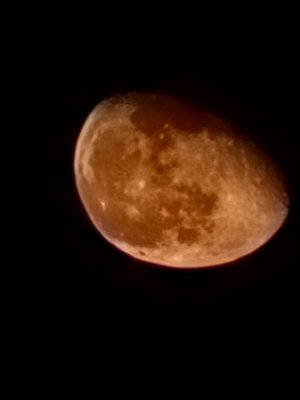 20221112_205047.jpg