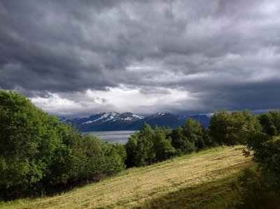 20220622_192241.jpg