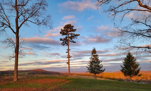 AM view-Backyard-Nov2022.jpg