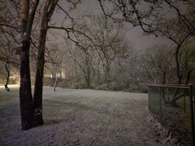 20221115_054617.jpg