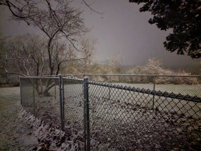 20221115_054626.jpg