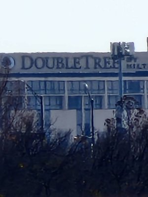 20220312_151340.jpg
