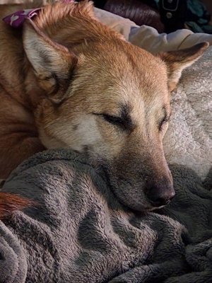20220624_014709.jpg