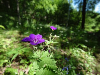 20220624_120431~2.jpg