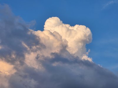 20220624_194715.jpg