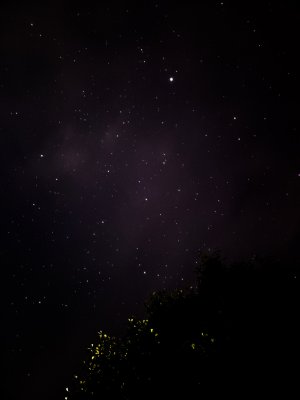20220629_225342.jpg