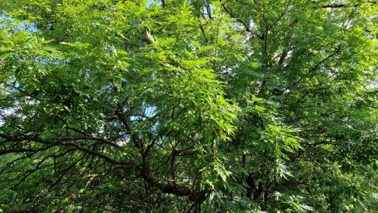 20220630_155812.jpg