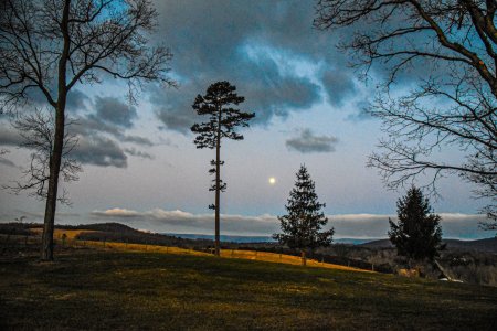 Moonset01-29.jpg