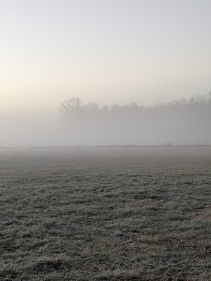 PXL_20221126_122146210.jpg