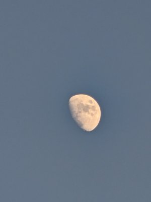 PXL_20221202_220115013.jpg
