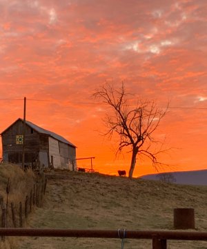 Sunrise-Kathy-Nov2022.jpg