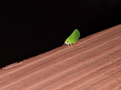 20220808_211919.jpg