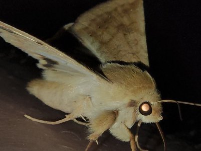 20220808_204706.jpg