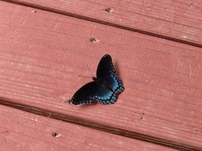 20220809_105253.jpg