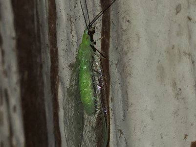 20220808_225114.jpg