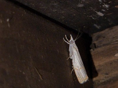 20220808_225014.jpg