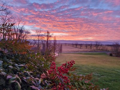 Sunrise-Dec2022.jpg