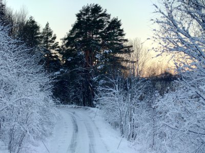 20221211_131550.jpg