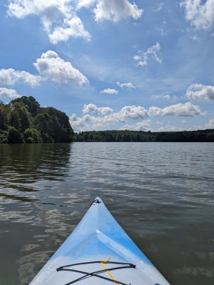 PXL_20220802_151901092.jpg