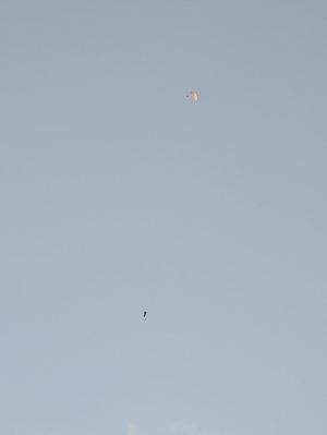 PXL_20220810_000025552.jpg
