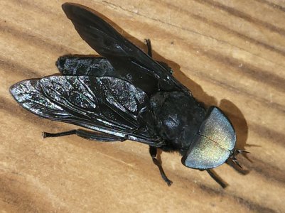 20220812_170425.jpg