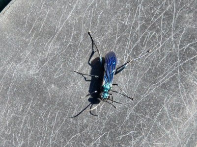 20220812_162434.jpg